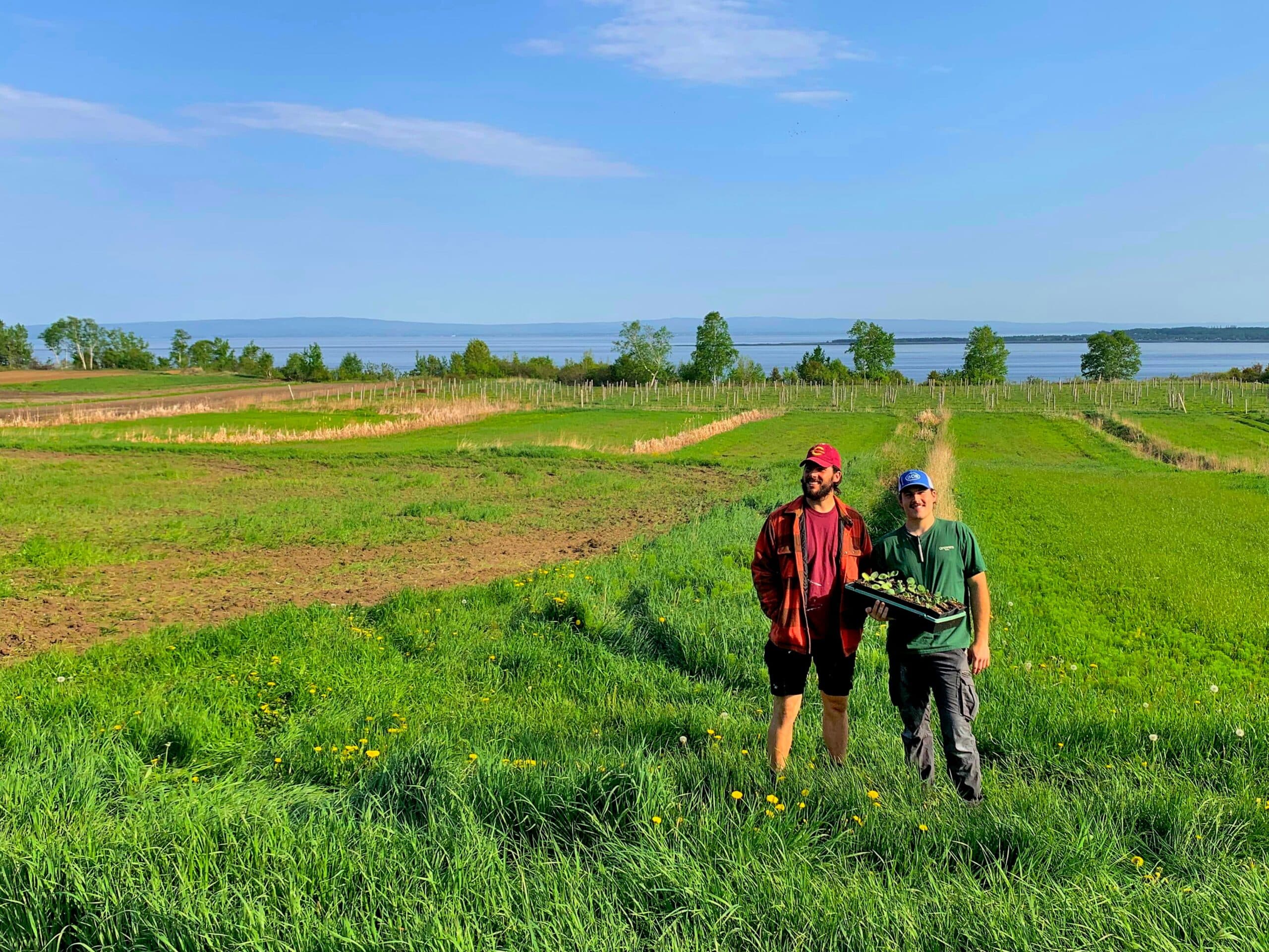 Mickael et Jean-William devant leur champ avec vue sur le fleuve Saint-Laurent.