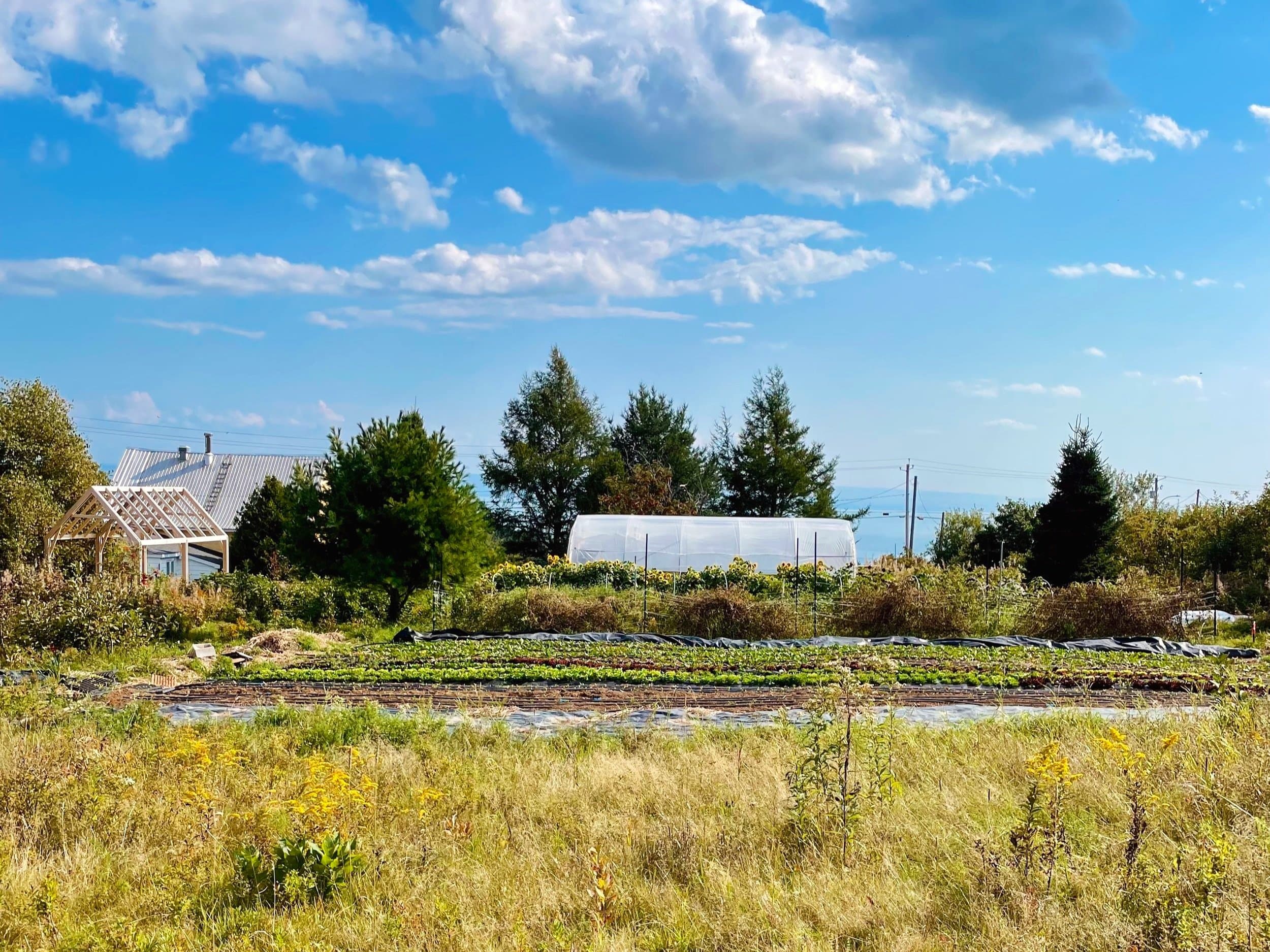 Potager de la Crapaudine dans Charlevoix